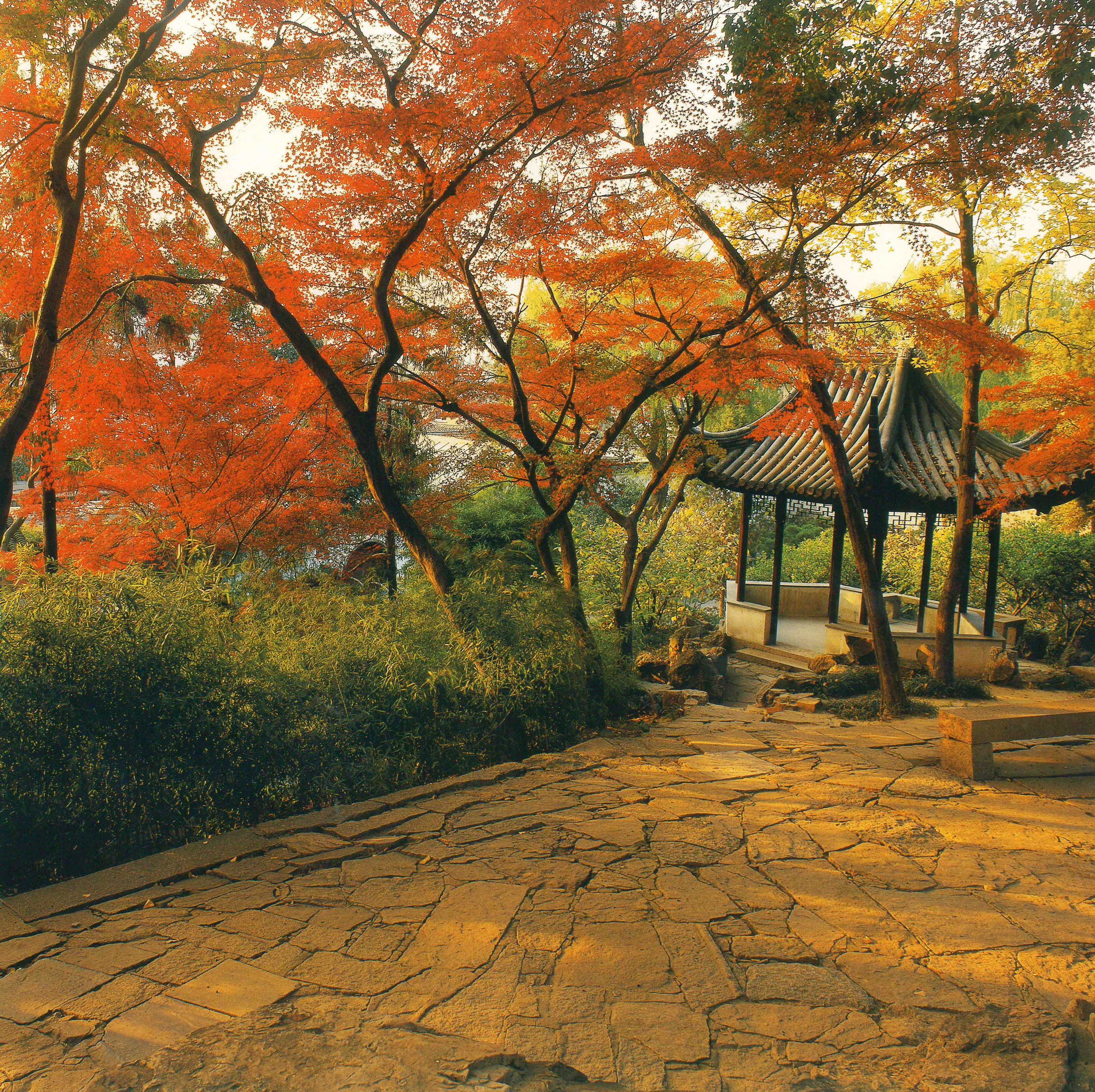 Gazebo Among Autumnal Trees