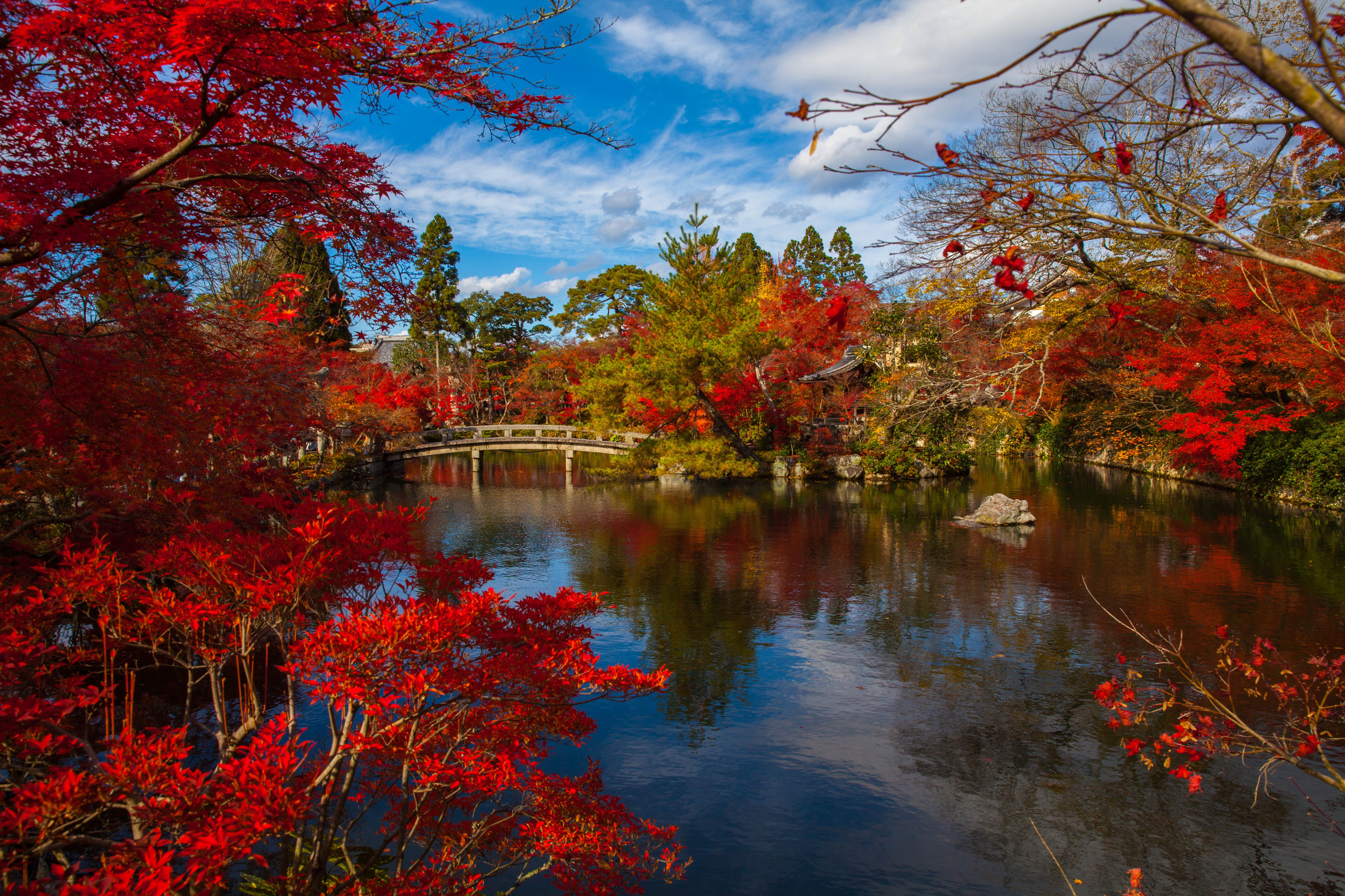 Japanese Landmark at Fall